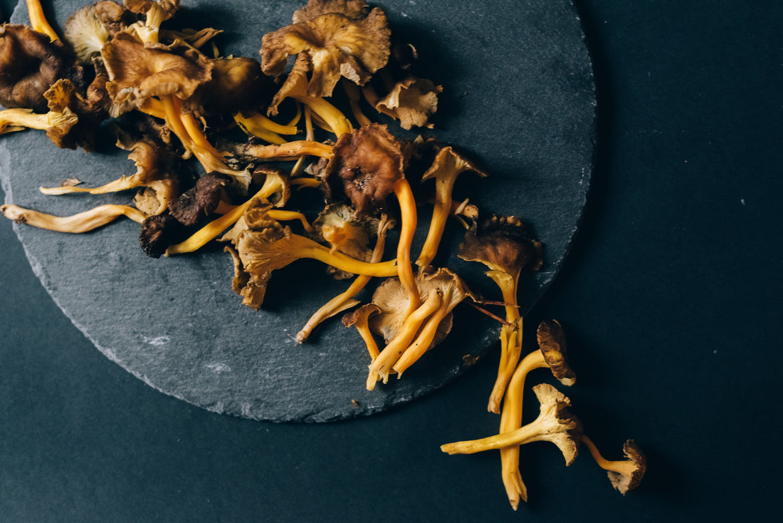 The Mushrooms Of Medicine Box, Part: Mind's Eye Introspection