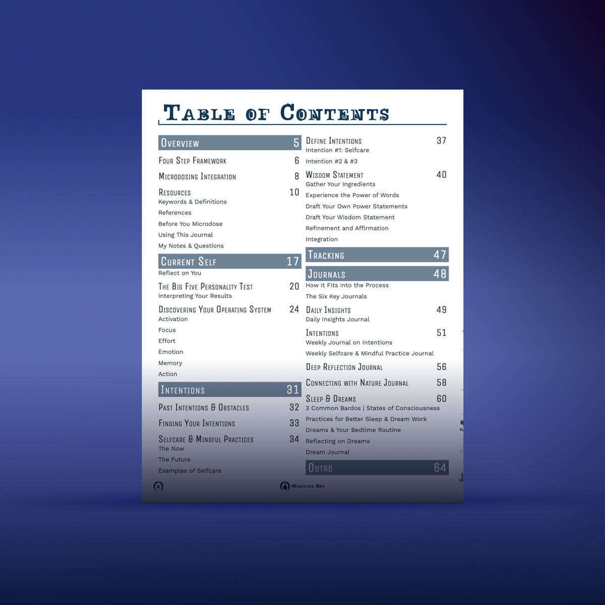 Mind’s Eye Integration Journal