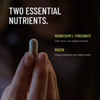 Mind's Eye Introspection | Adaptogens, Nootropics & Mushroom Blend