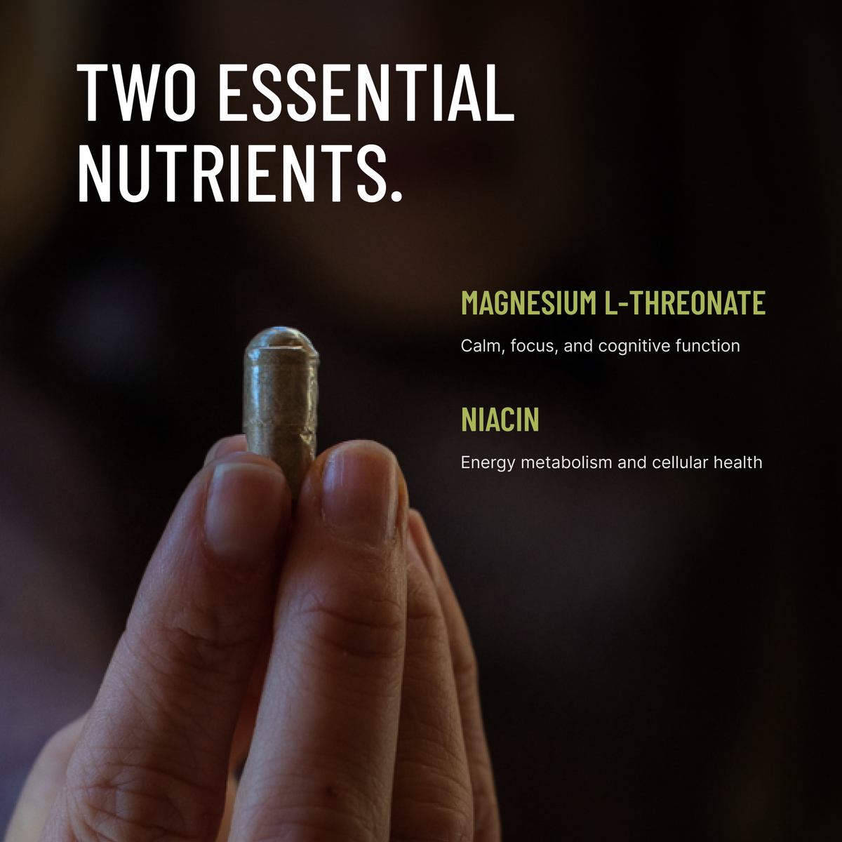 Mind's Eye Introspection | Adaptogens, Nootropics & Mushroom Blend