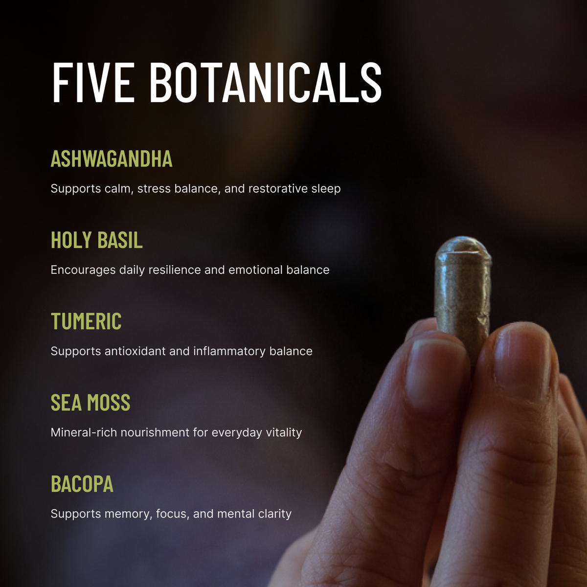Mind's Eye Introspection | Adaptogens, Nootropics & Mushroom Blend