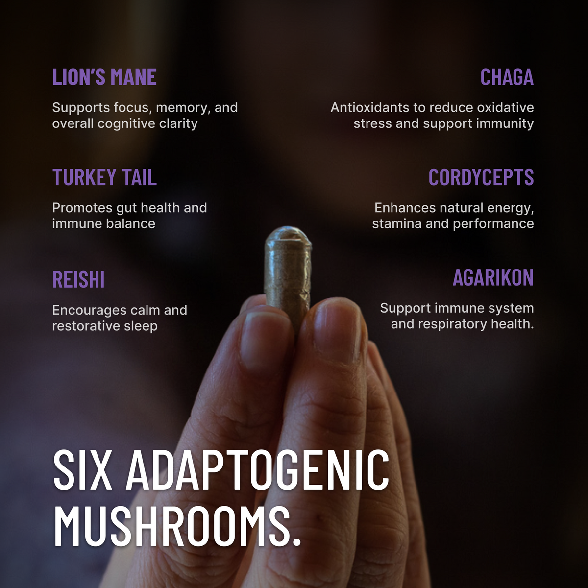 Mind's Eye Introspection | Adaptogens, Nootropics & Mushroom Blend